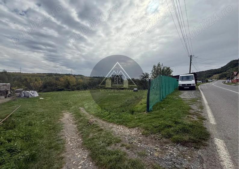 Teren Copsa Mica - 2