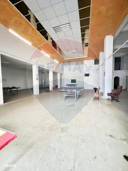 Spa?iu comercial de inchiriat Teiul Doamnei - 7
