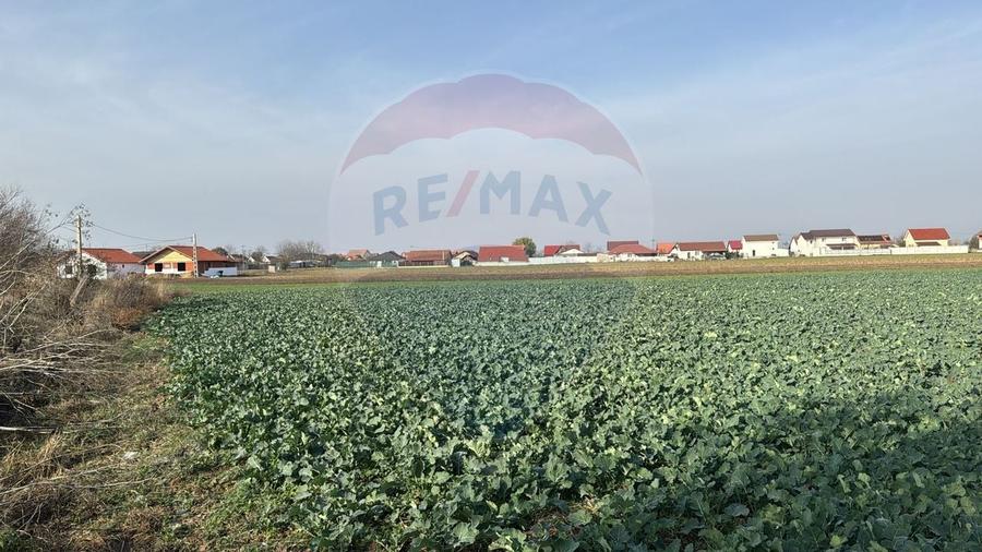 Teren intravilan de vanzare, 11.600 mp - Tarian, Girisul de Cris - 6