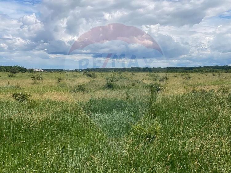 DE VANZARE Teren intravilan 600mp Drumul Piscul Mosului SISESTI - 13