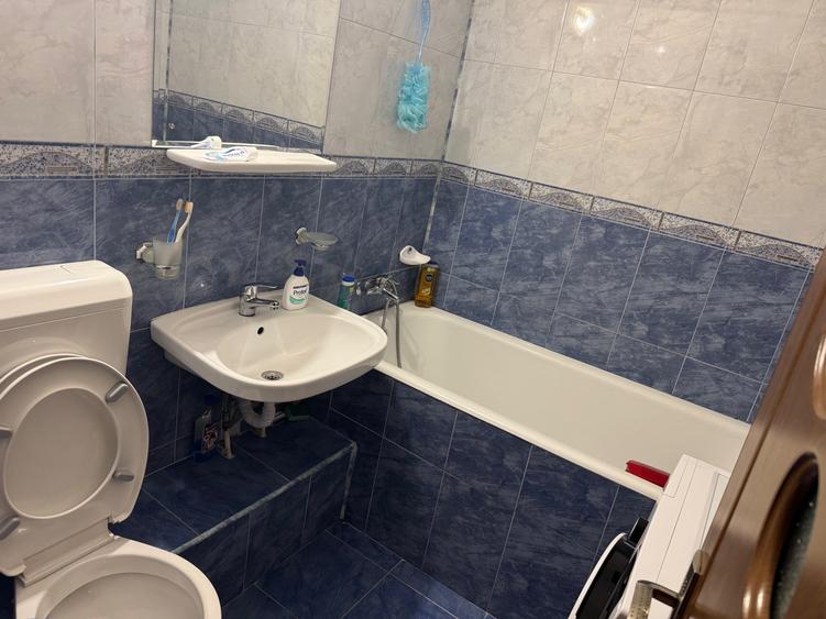 Crangasi Metrou Crangasi Ap.cu 2 camere de vanzare - 10