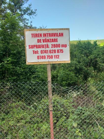 Teren de vanzare - 7