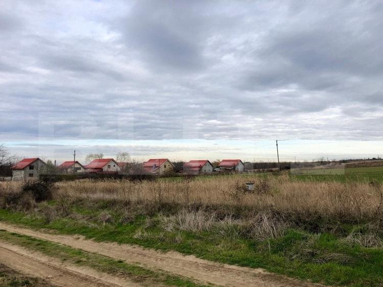 Teren intravilan 3.800 mp, zona linistita, Malu Mare - 2