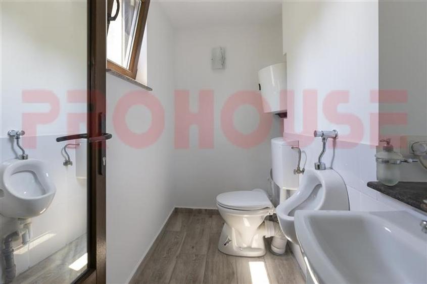 Domeniu superb - vila S+P+M si teren - 12