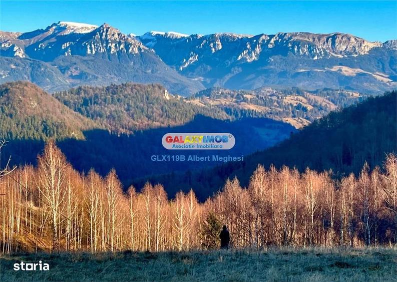 Vanzare teren intravilan 10818 mp , 47 ml la DN 73 Moieciu de Jos - 4