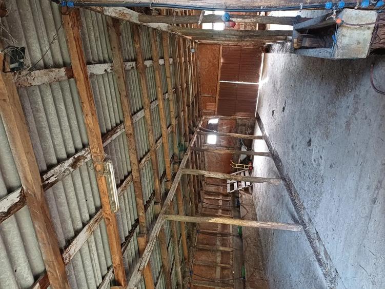 Ferma de vaci de vanzare - 3