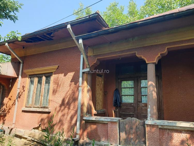 Cetatuia, com. Gaujani, jud. Giurgiu Cetatuia, com. Gaujani, jud. Giurgiu
