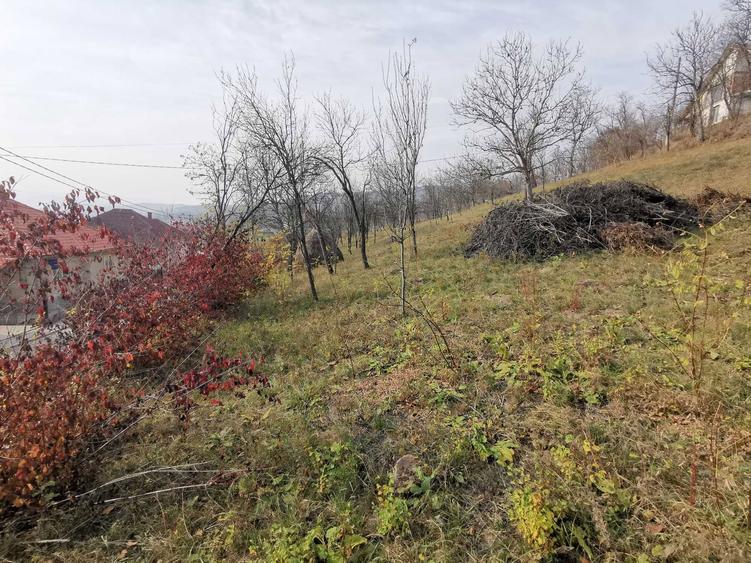 vind parcela 500 m2 dej jud cluj - 3