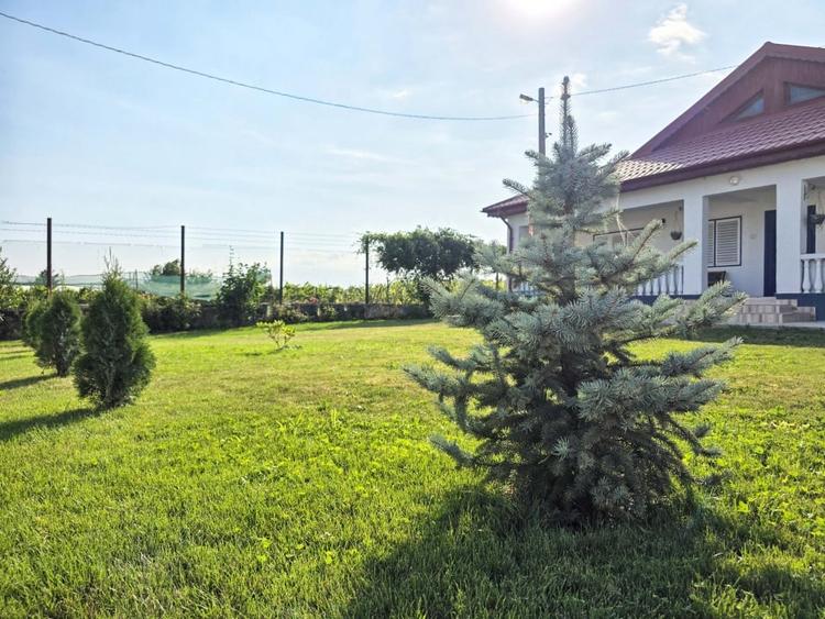 Ferma si casa de vanzare - teren intravilan, la 20min de Constanta! - 2