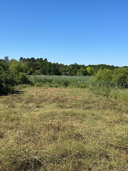 Teren cu deschidere la lac strada Orhideelor- conectare imediata la curent - 3