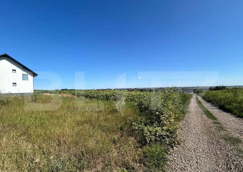Teren intravilan , 2600 mp, dedicat investitorilor Ipotesti - 1