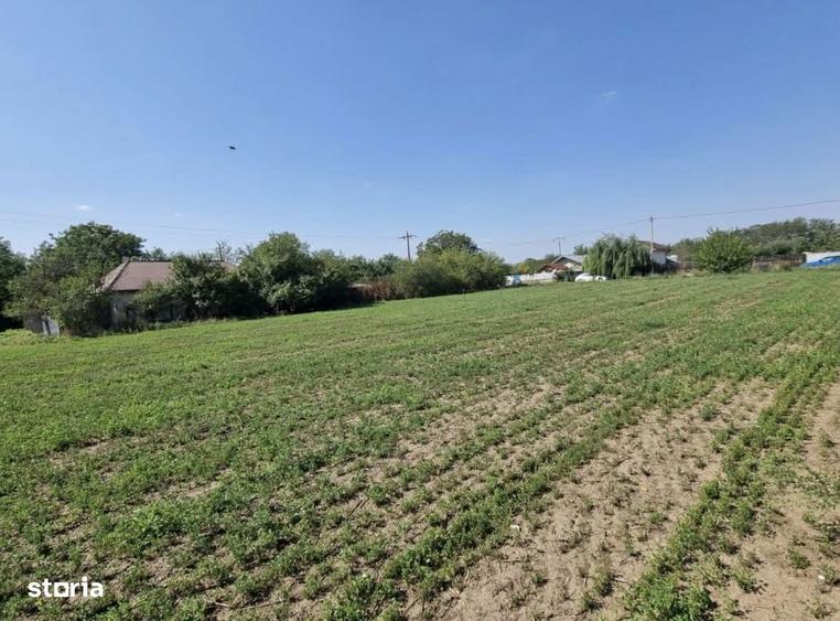 Teren intravilan 40km de Bucure?ti - 3