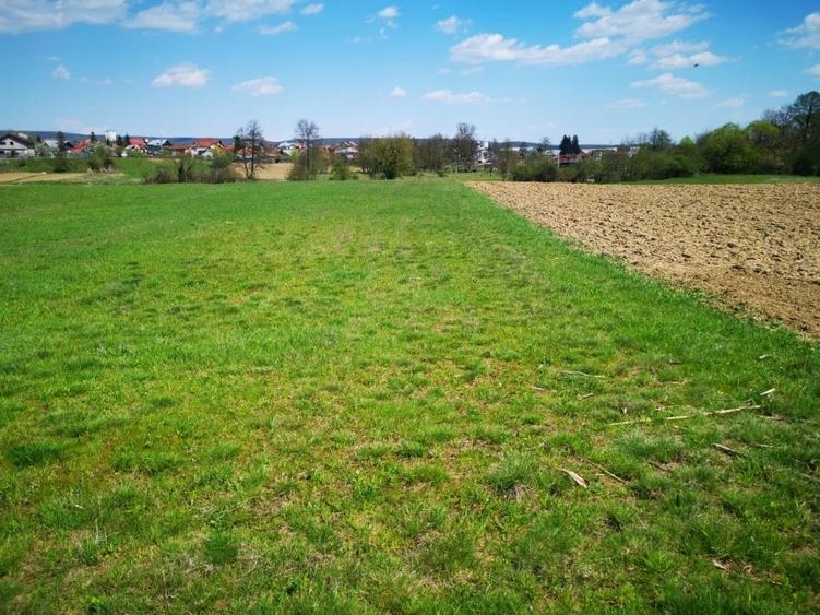 Casa P+E, BASCOV, semifinisata, teren 5044mp - 3