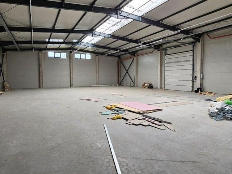 Pantelimon DN3 hala 600 mp - 4