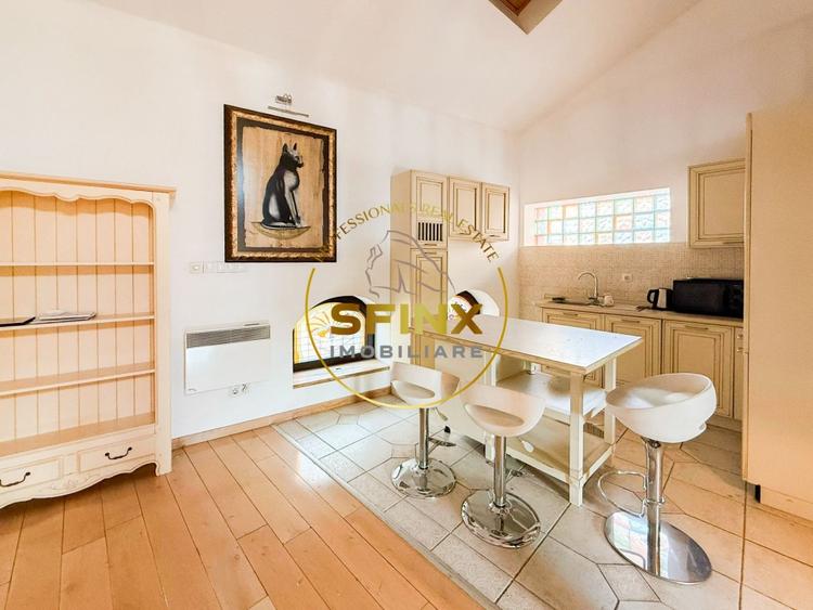 Vanzare zona Armeneasca,Casa eclectica sec XX,curte individuala,3 niveluri 295mp - 25