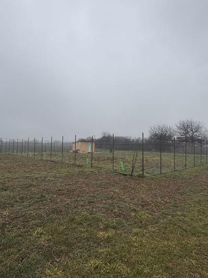 Teren de vanzare in comuna Dascalu, jud. Ilfov - 1