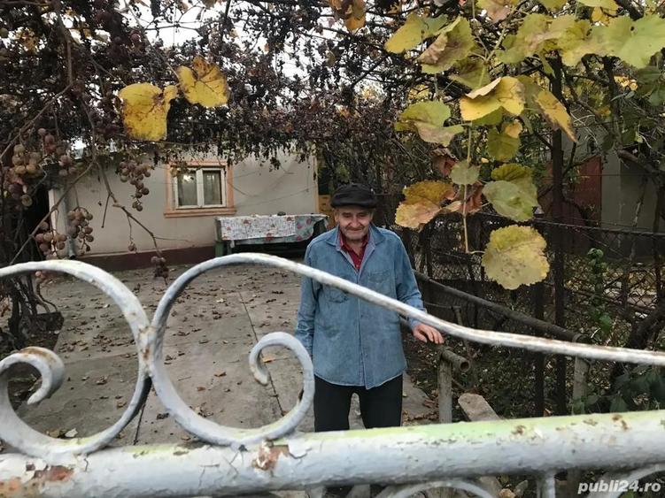 Vand casa la curte in Rosiori de Vede jud Teleorman, din paianta, cu 5 camere. - 3