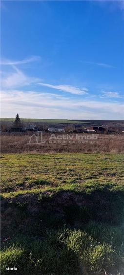 Teren TOP 1400mp 18ml stradal Vanatori (Odaia Manolache) - 10