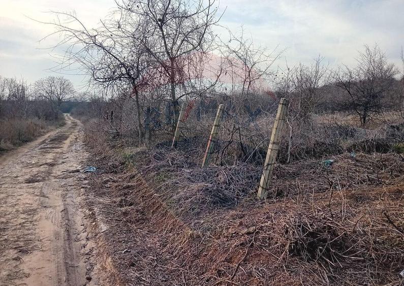 Teren 2,301mp Carcea / Aleea Tarlaua 37 Parcela 63 - 2