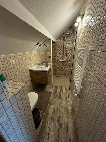 Penthouse zona Medicinei - 11