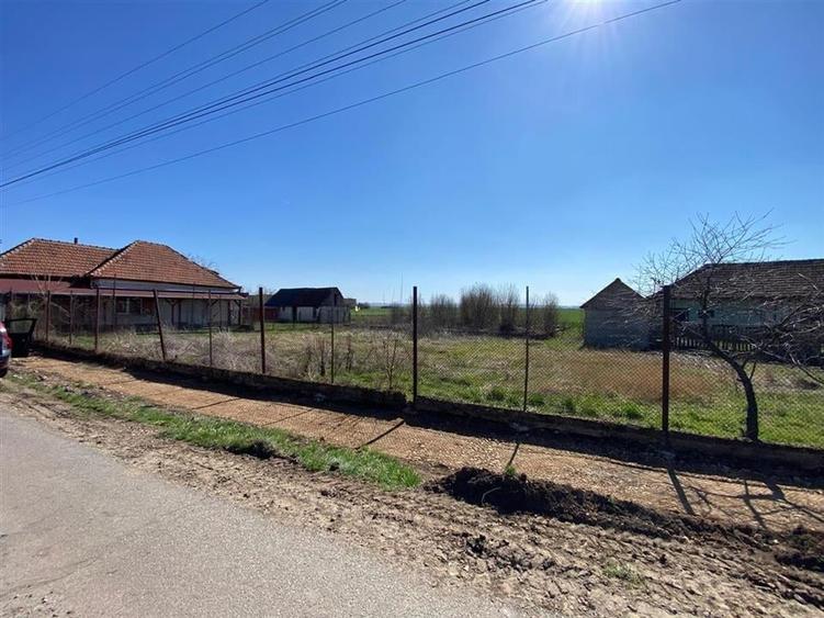 RECO Casa in  Tamaseu  18km de Oradea - 8