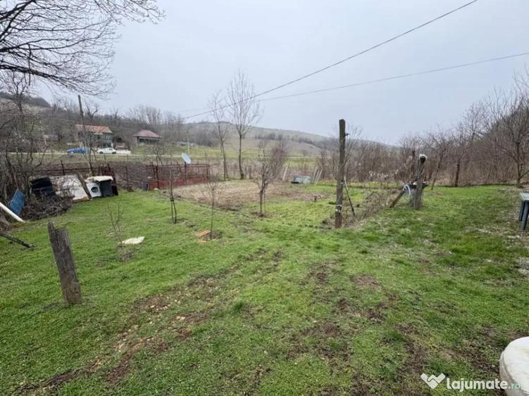 Teren 2.038 mp + Casa 50 mp de vanzare Sat Luncsoru, C - 15
