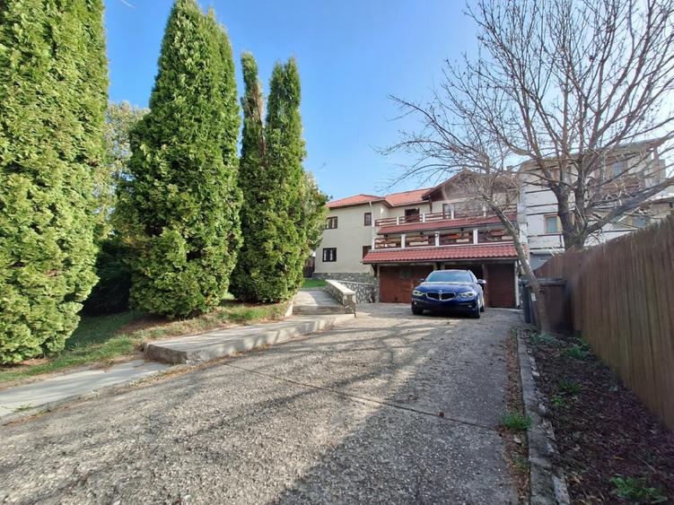 Vila Zamora, Busteni - 29