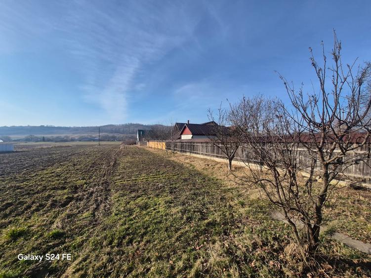 Casă cu anexă și teren generos de 1.600 mp - 10