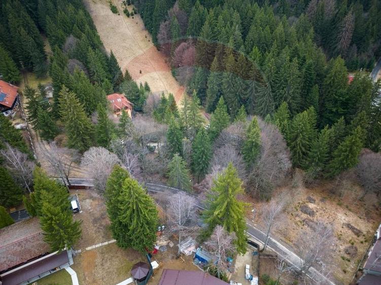 Teren 2000mp intravilan de vanzare in Poiana Brasov! Comision 0%! - 15