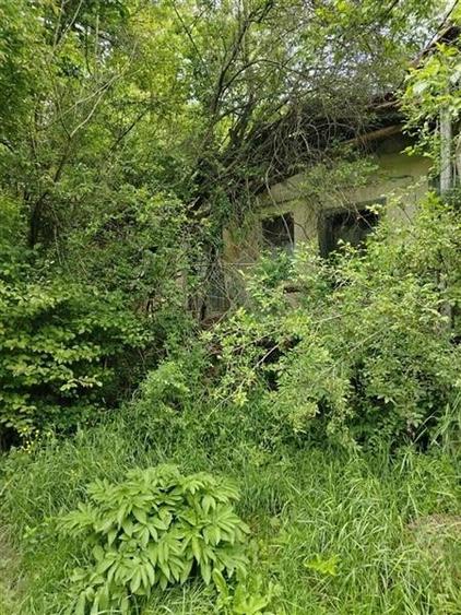 Domeniu verde autentic,  +5.000mp, front la DJ, Valcele, Brasov -- Covasna - 5