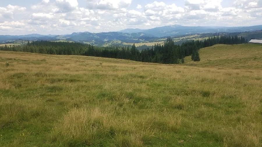 Teren de 160000 mp, în Breaza