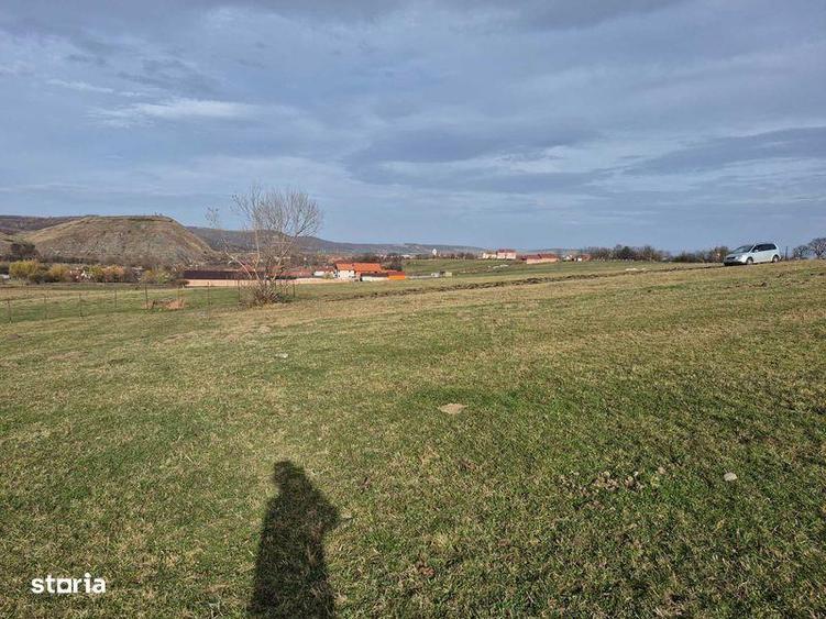 Teren de 1500 mp, în Orlat