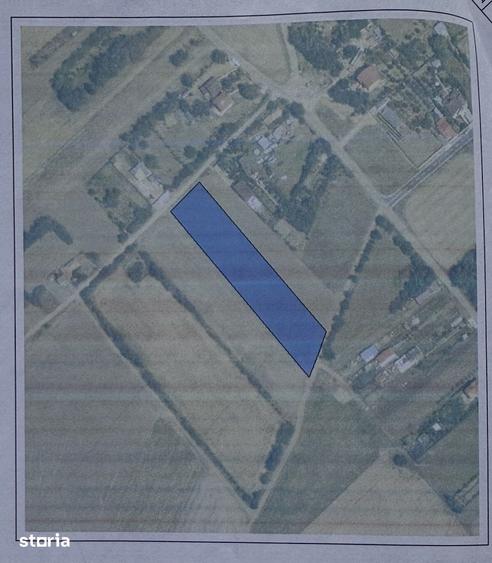 Teren de 5208 mp, în Dascălu
