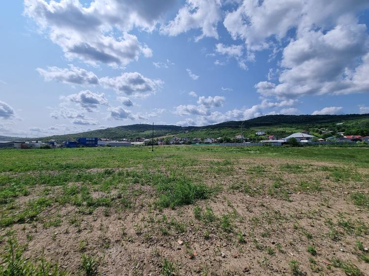Teren Construcții intravilan de 21800 mp, în Tomești