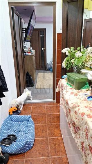 Apartament cu 2 camere semidecomandat, mobilat în Șagului