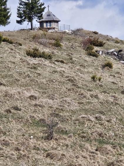 Teren extravilan de 72000 mp, în Dâmbovicioara