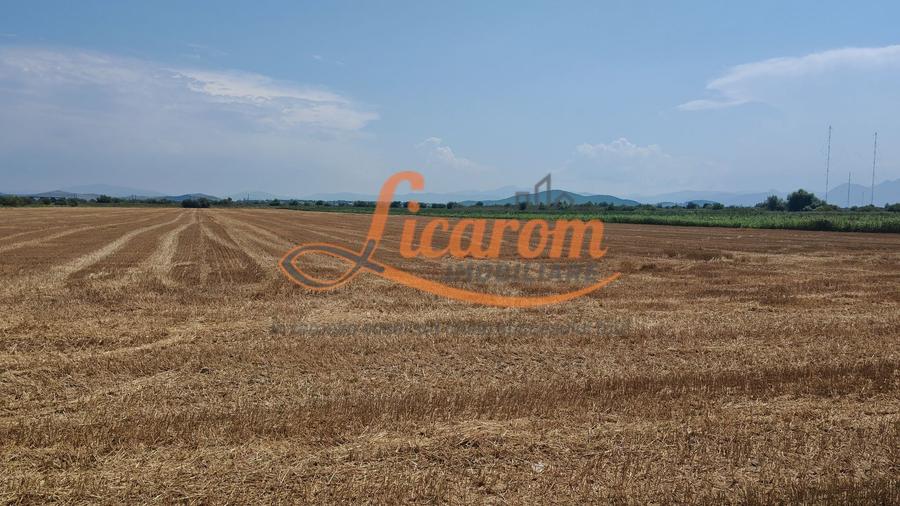 Teren Construcții intravilan de 38500 mp, în Feldioara