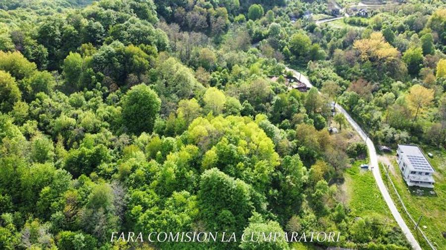 Teren Construcții intravilan de 2315 mp, în Sud