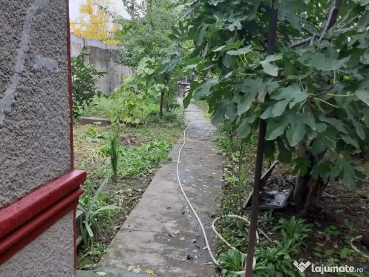 Casă cu 2 camere cu Teren 250 Mp în Central