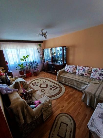 Apartament cu 2 camere decomandat în Lăpuș Argeș