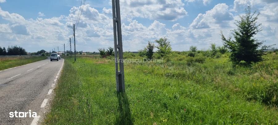 Vand 8000 mp teren in Bradu, drumul Cetului, la asfalt