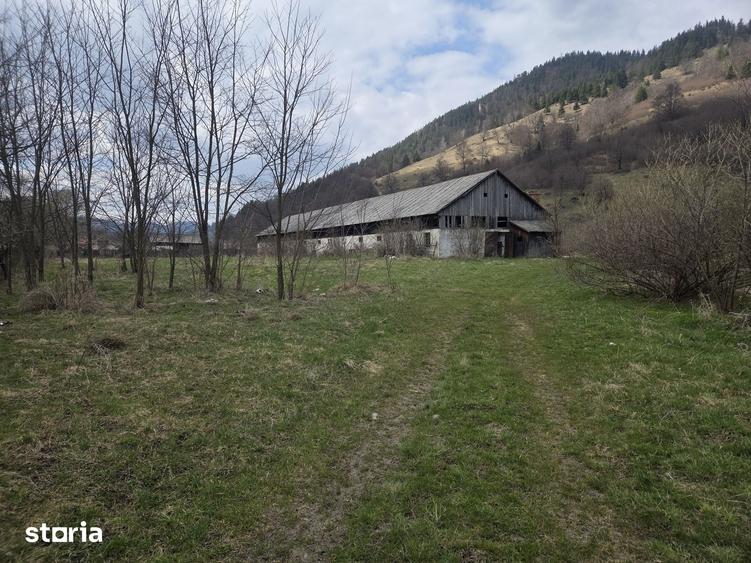 Spațiu comercial, de 560 mp, în Tulgheș
