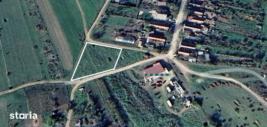 Teren de 1600 mp, în Giarmata