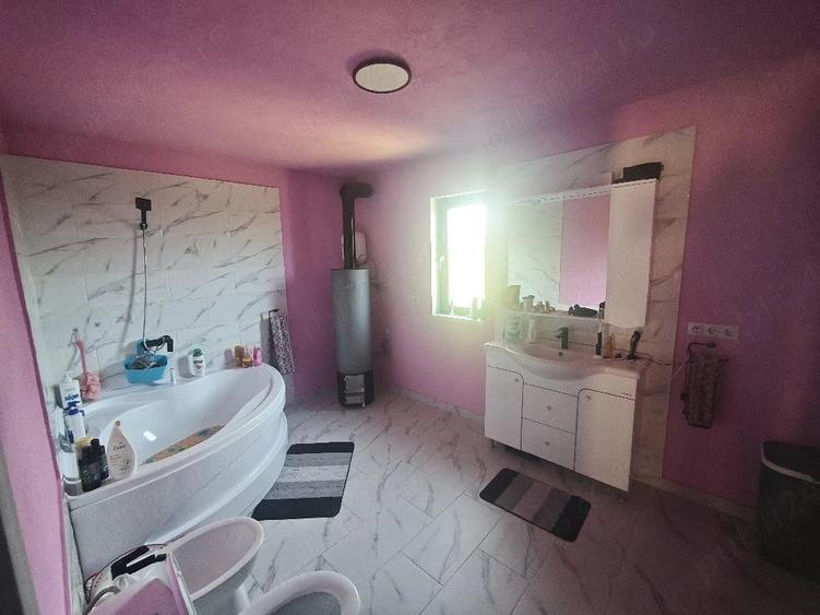 Casă cu Teren 1800 Mp în Dipșa