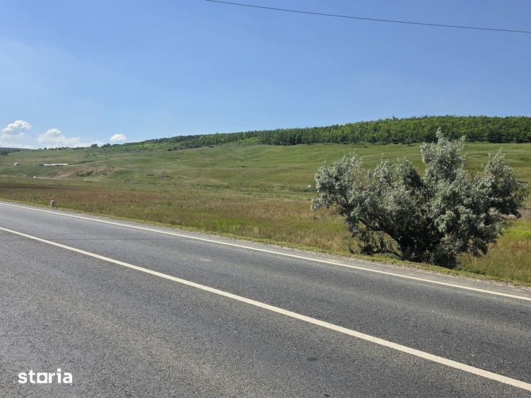 Teren de 10000 mp, în Miroslava