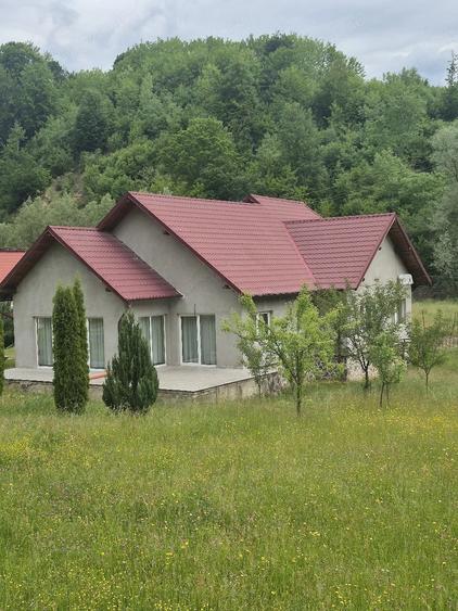 Casă cu Teren 6000 Mp în Târlișua