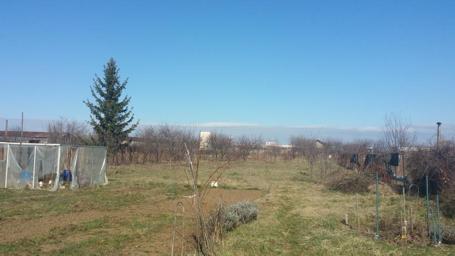 Teren Construcții intravilan de 900 mp, în Noua