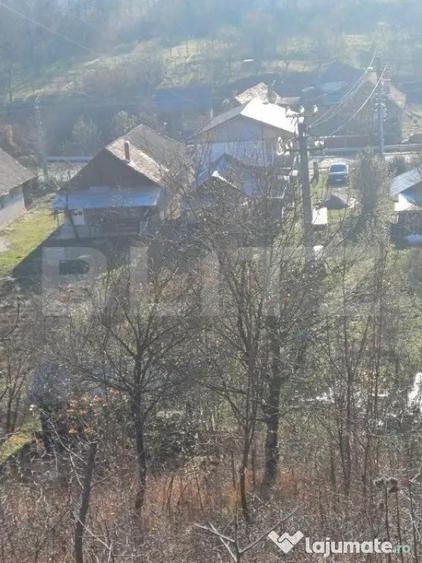 Casa + 20 arii teren, distanta 30 km de Bistrita - 4