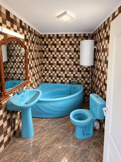 Vand proprietate cu teren Sohodol Alba - 1