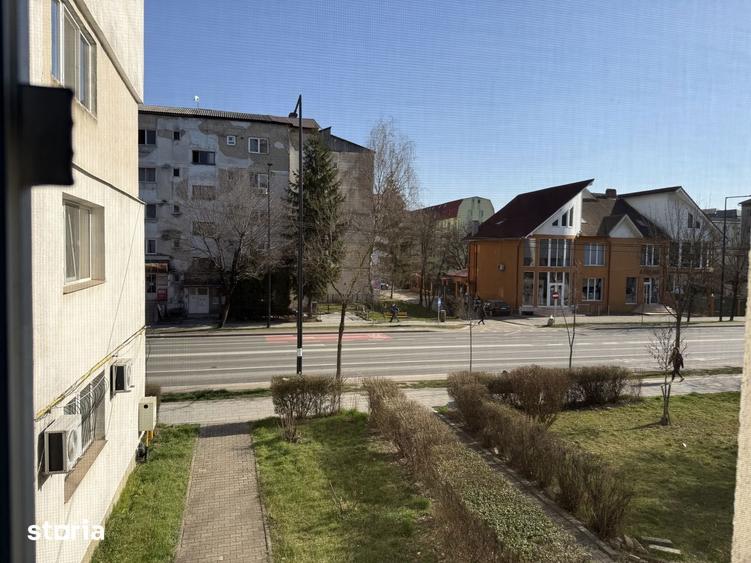 Apartament Decebal Ultracentral, renovat - 8